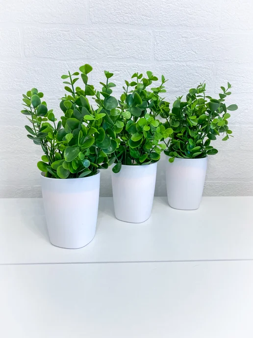 Artificial Coin Plants (10pc)