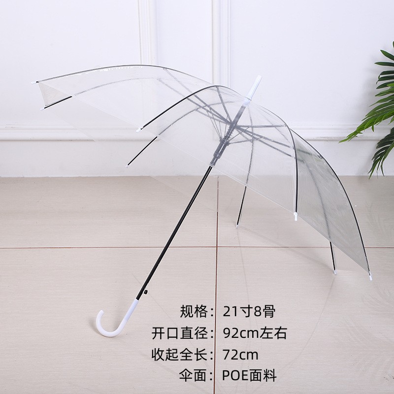 K-drama Transparent Umbrella - Image 2