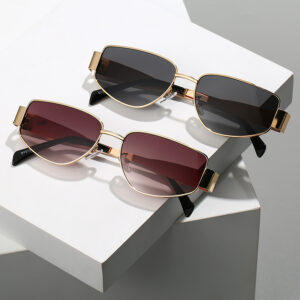 CELINE Premium Sunglass with Leather Box