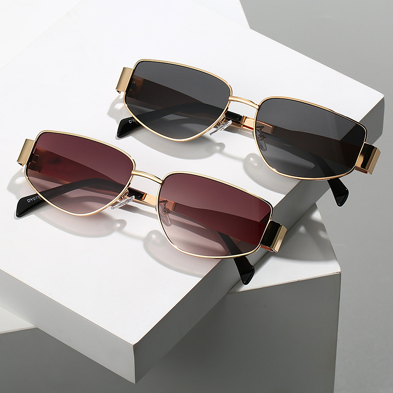 CELINE Premium Sunglass with Leather Box