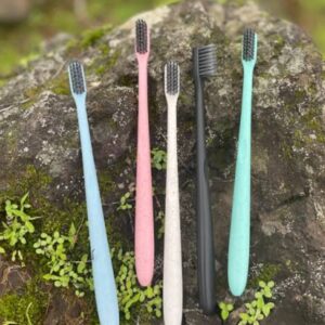 Biodegradable Straw Wheat Toothbrush (5 pcs)